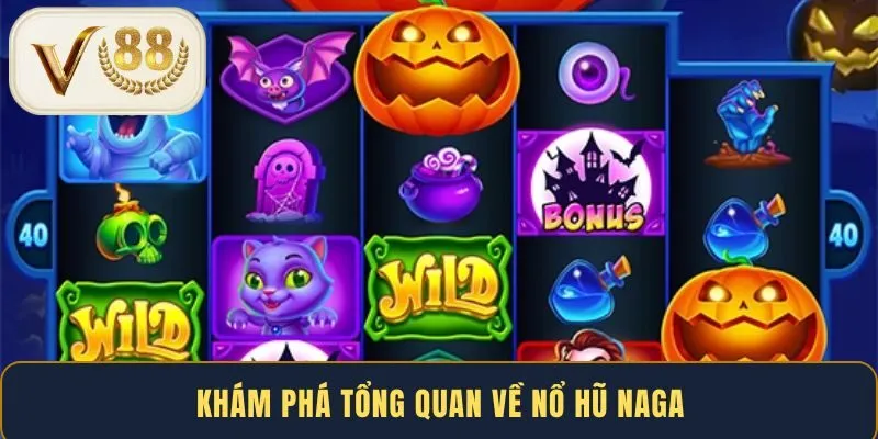 kham-pha-tong-quan-ve-no-hu-naga